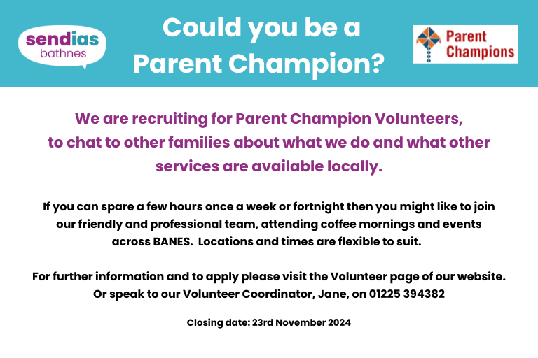 Text - describing parent champion volunteer role